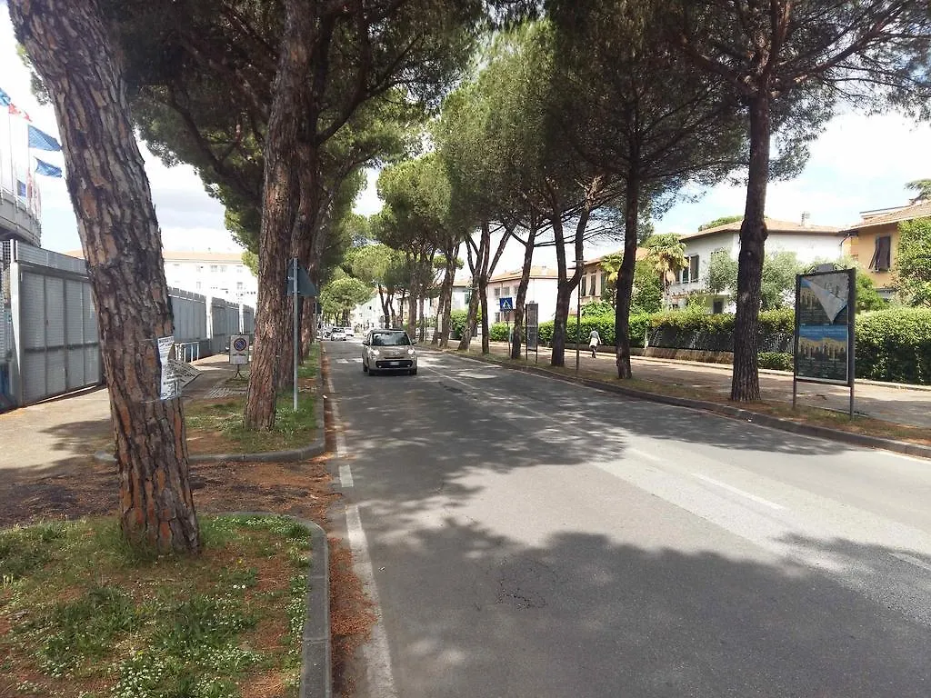 Bed & Breakfast I Girasoli B&B Pisa